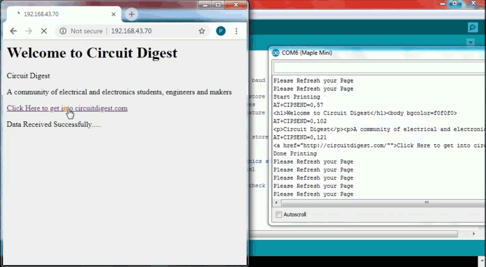 Test the working by opening the ESP8266 IP in any web browse