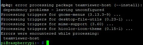 Installing TeamViewer on Raspberry Pi