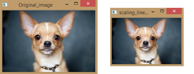 Original Image to Scaling Linear Interpolation Image using Python OpenCV