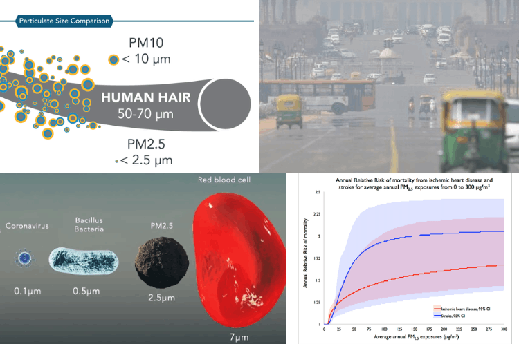 Air Pollution Survey Reports