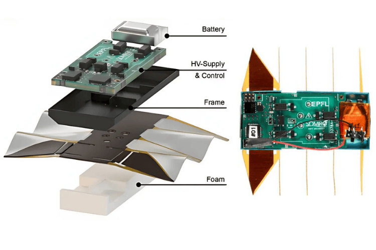 Mini Robot Swims Water Pollution Hardware Marking