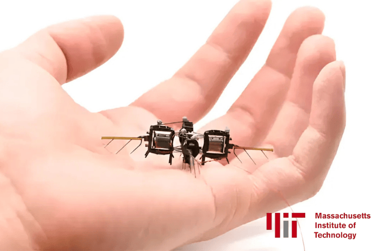 Tiny Robotic Insects for Pollination and Sustainable Farming