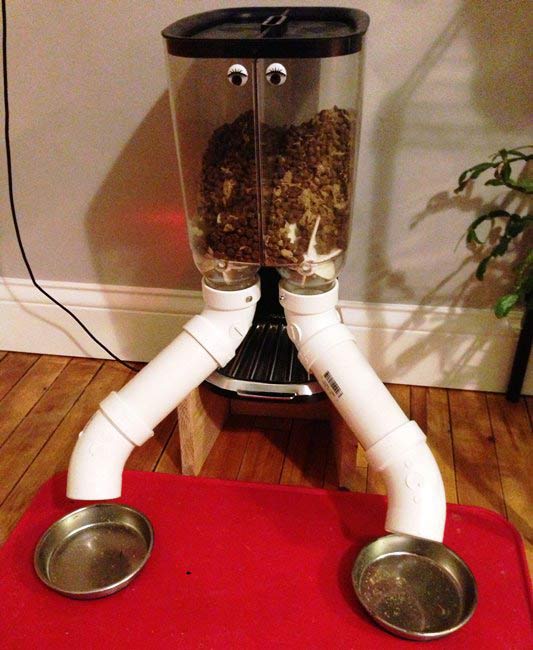 Raspberry Pi Powered Cat Feeder