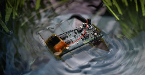 Mini Robot that Swims Silently to Tackle Water Pollution