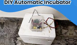 DIY Automatic Incubator